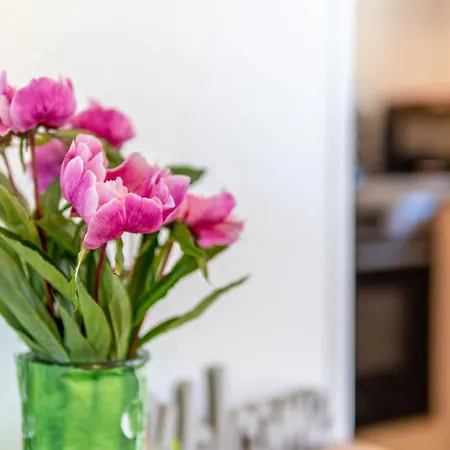 Tinyhaus Sankt Rupert Nummer 11